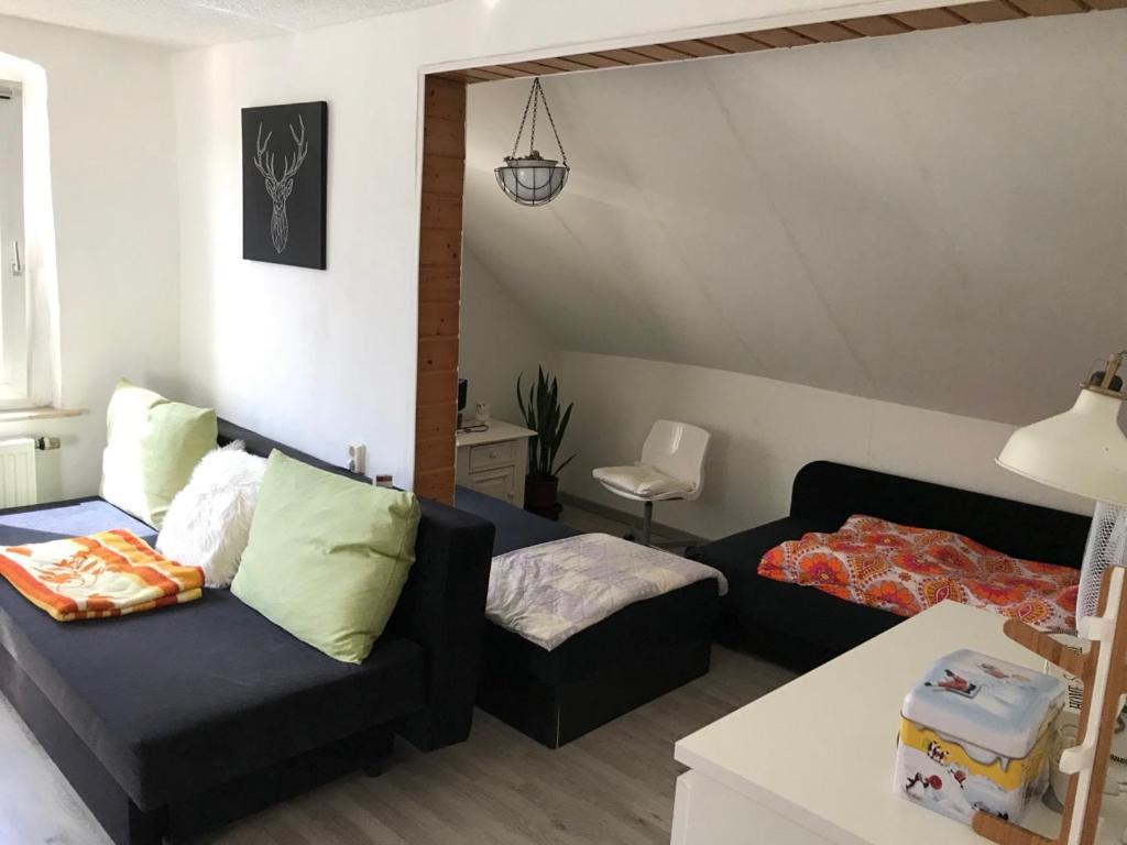 Ferienwohnung Im Einfamilienhaus, Automobil Und Robert Schumann Stadt Τσβικάου Εξωτερικό φωτογραφία
