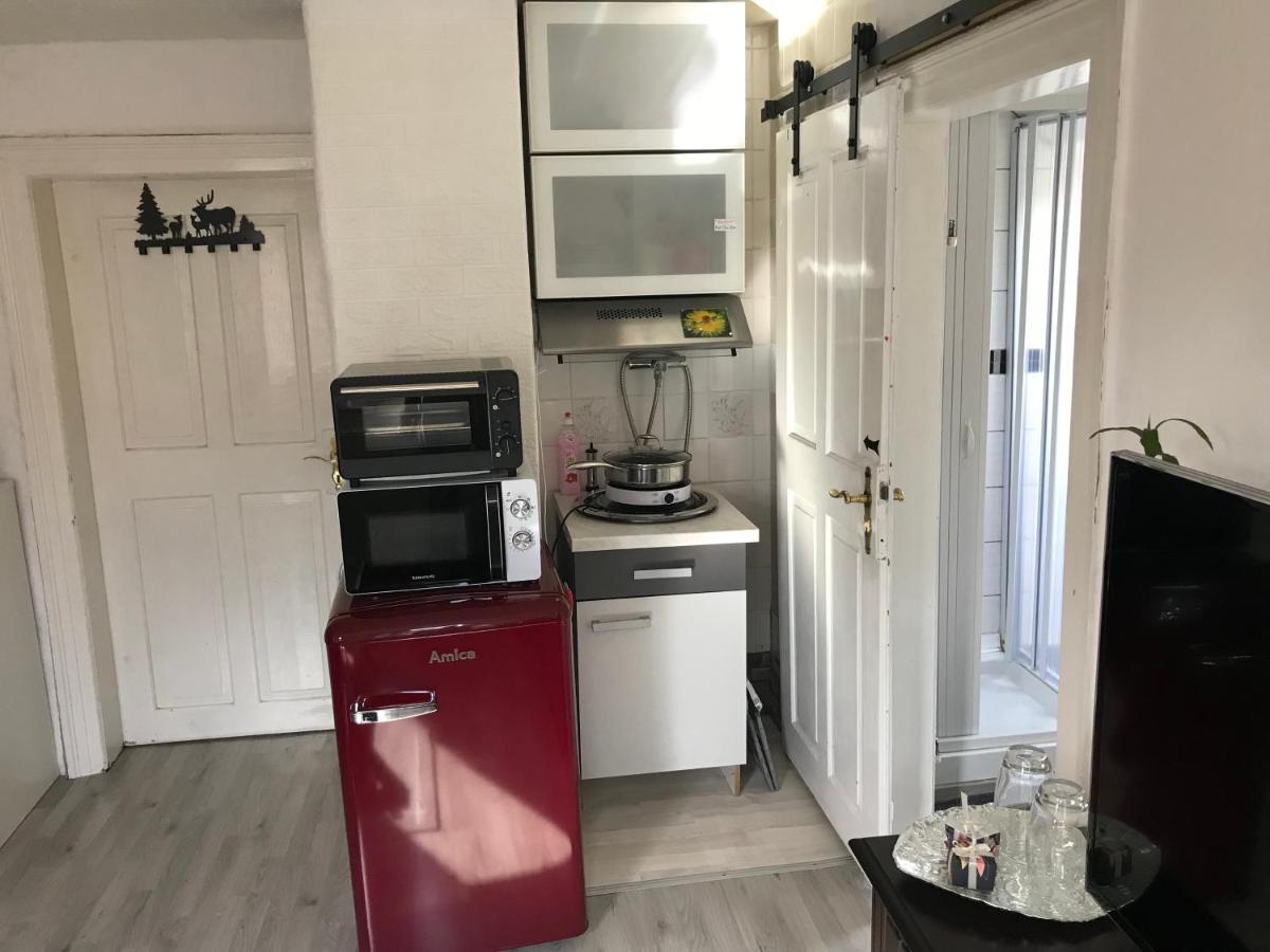 Ferienwohnung Im Einfamilienhaus, Automobil Und Robert Schumann Stadt Τσβικάου Εξωτερικό φωτογραφία